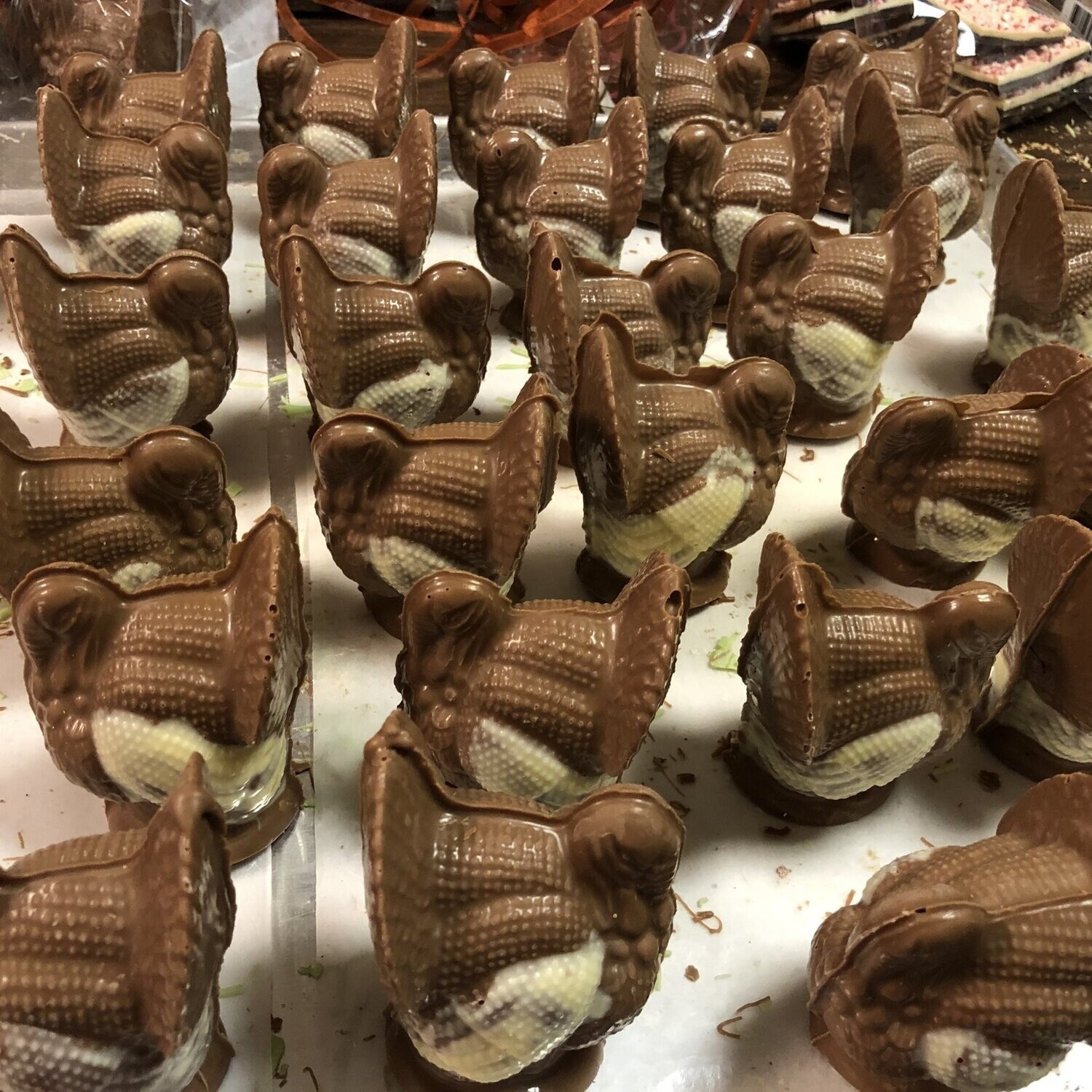 Smallest Solid Chocolate Fat Turkey