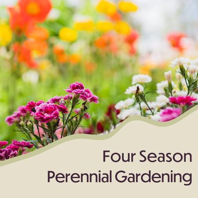 Four-Season Perennial Garden Class