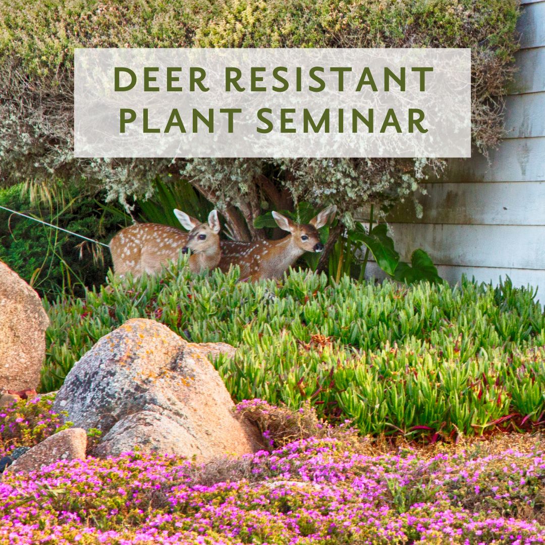 Deer Resistant Plant Seminar