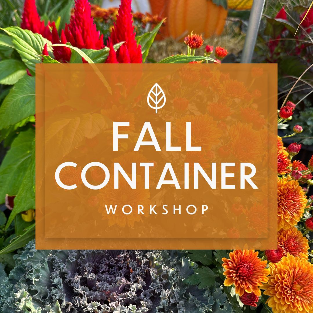 Fall Container Workshop
