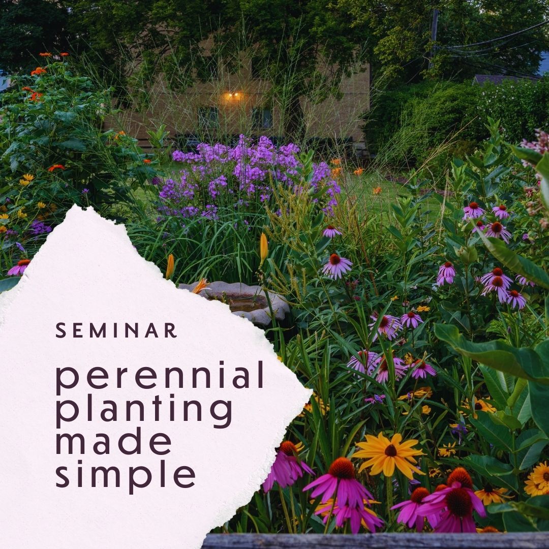 Seminar: Perennial Planting Made Simple