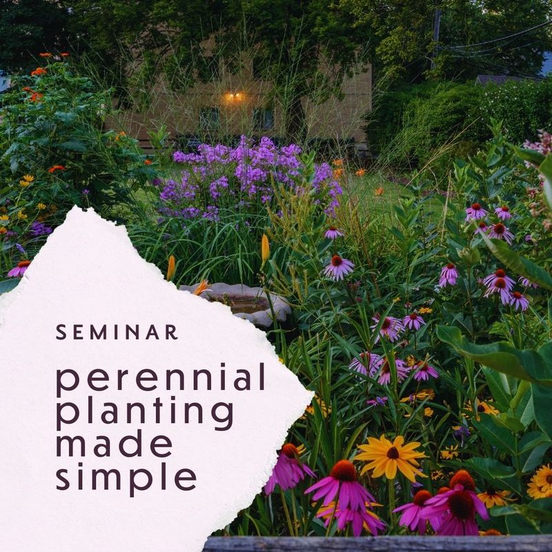 Seminar: Perennial Planting Made Simple