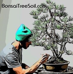 BonsaiTreeSoil.com