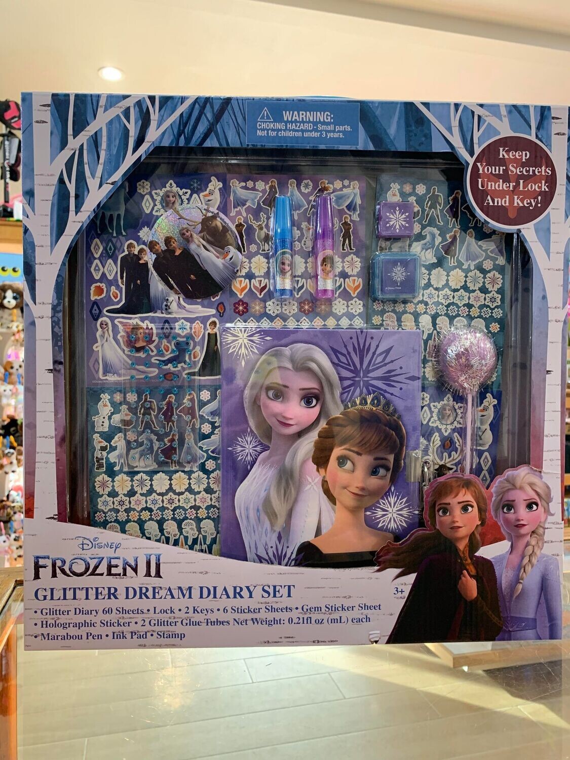Frozen Glitter Diary