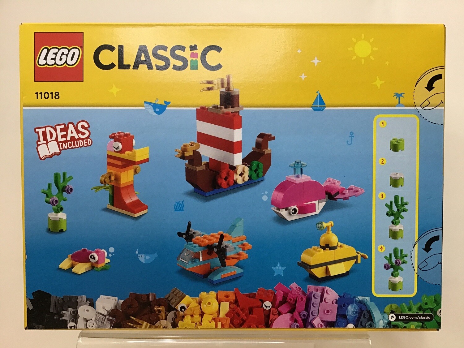 Creative Ocean Fun