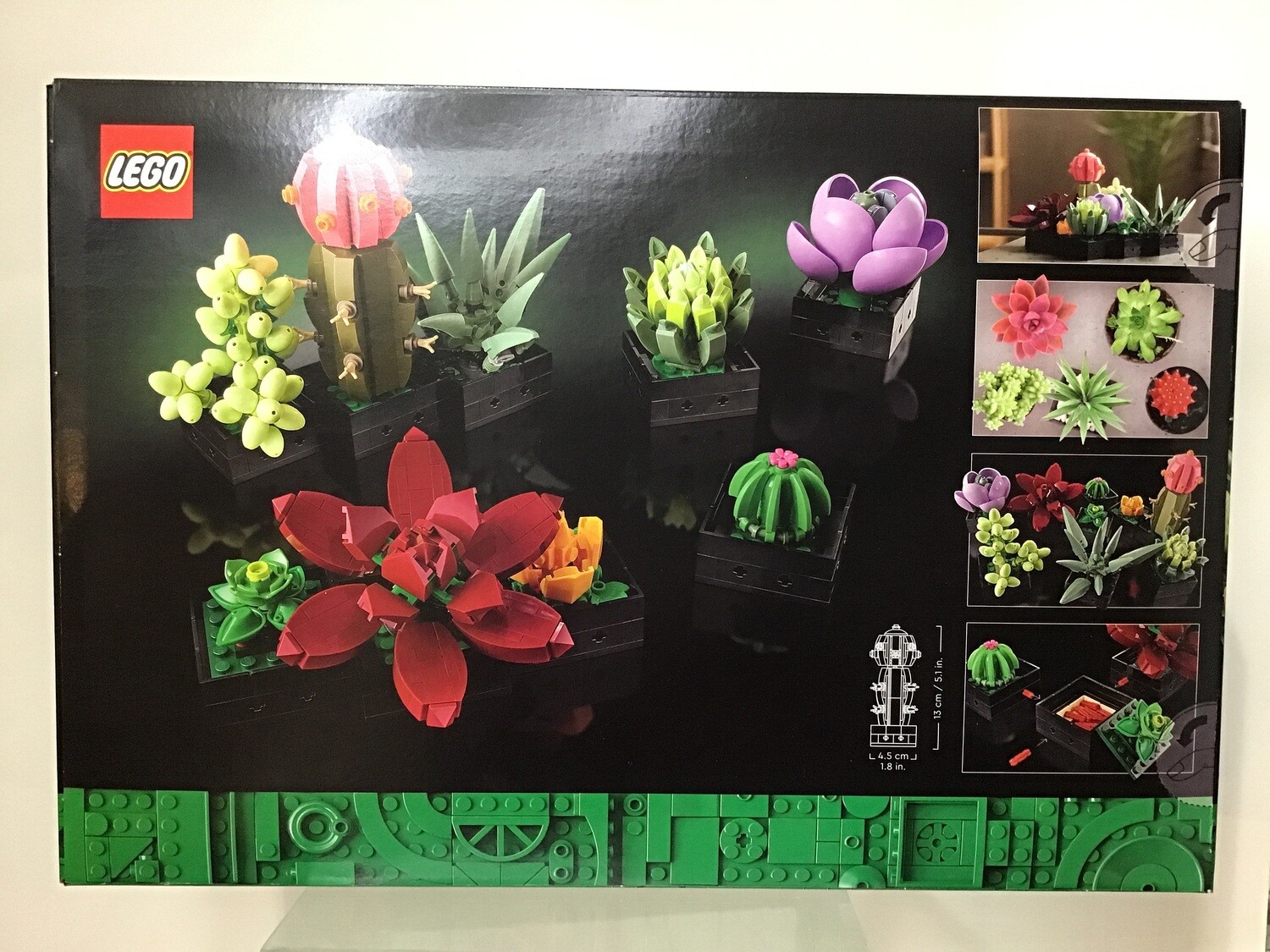 Succulents