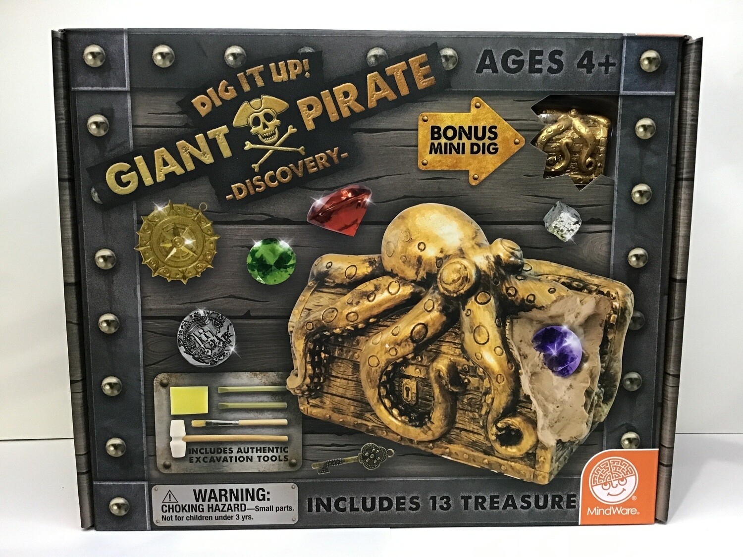 dig it up-Pirate discovery