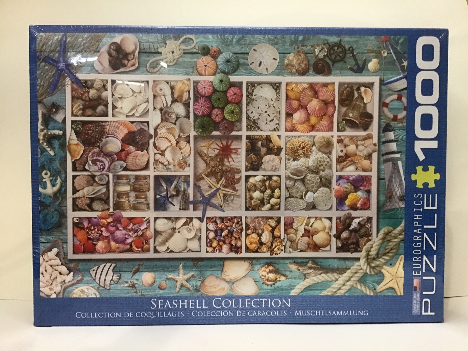 Seashell Collection