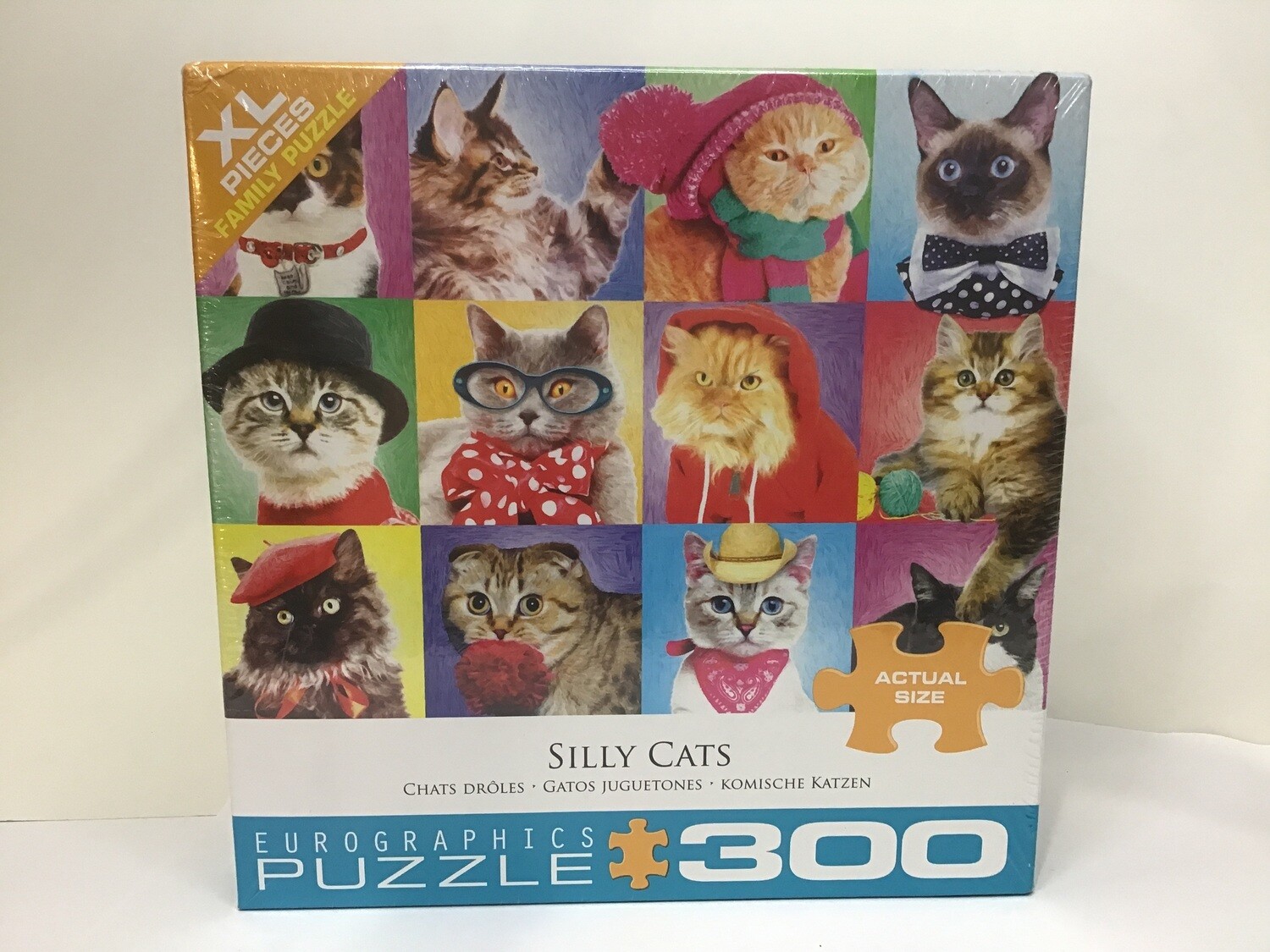 Silly Cats