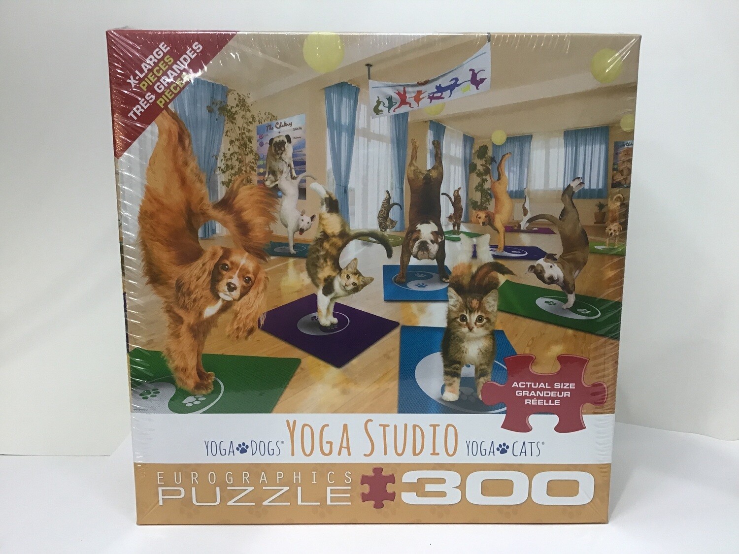 Yoga Studio