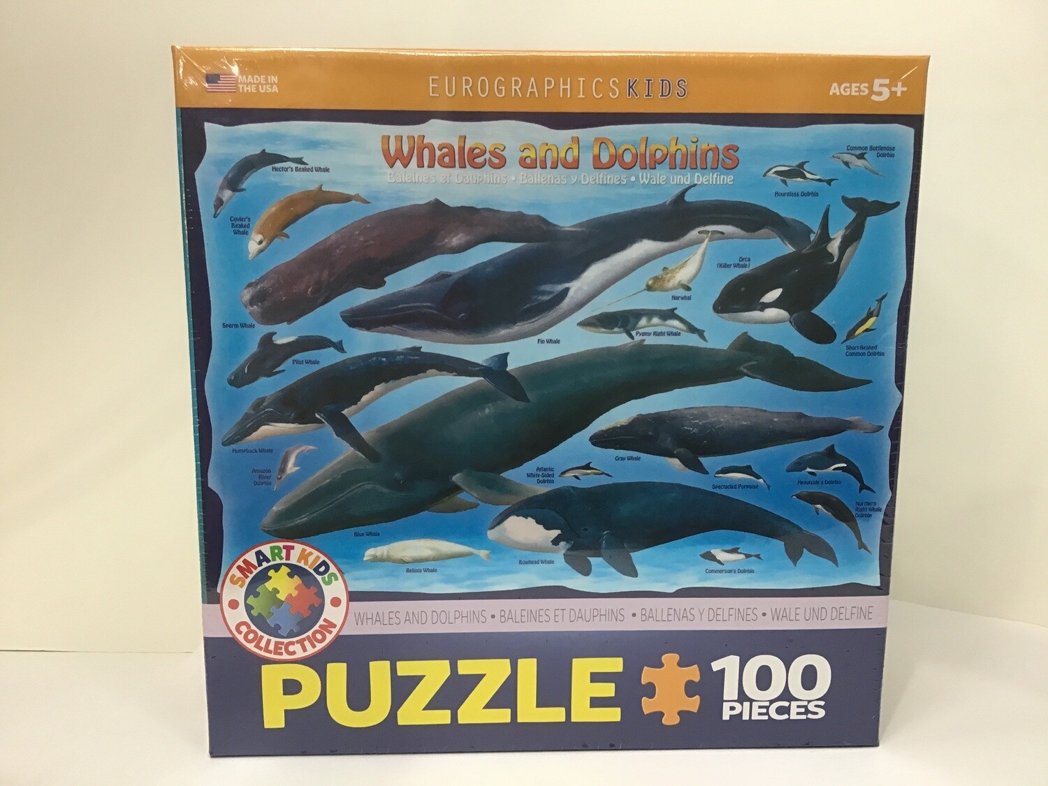 Whales &amp; Dolphins