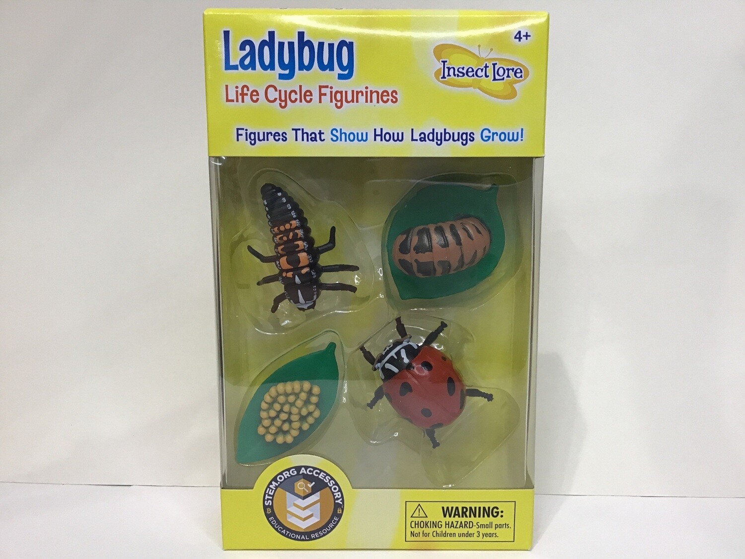 Ladybug Life Cycle 4pc