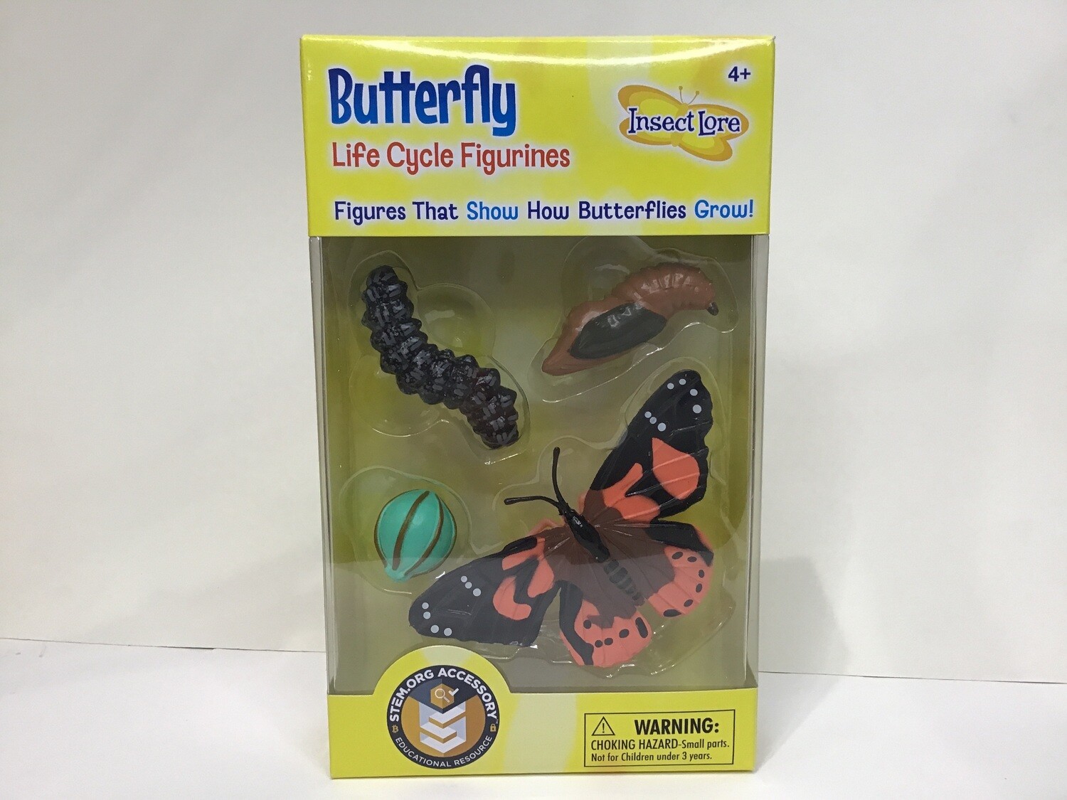Butterfly Life Cycle 4pc