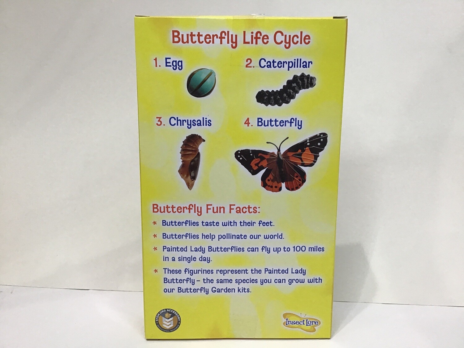 Butterfly Life Cycle 4pc