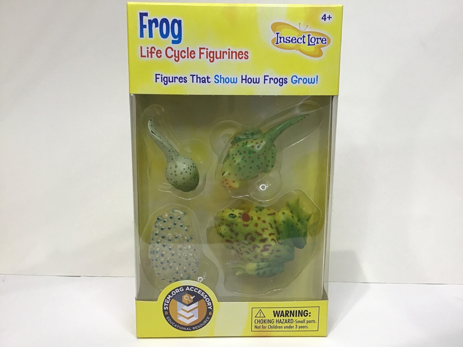 Frog Life Cycle 4pc