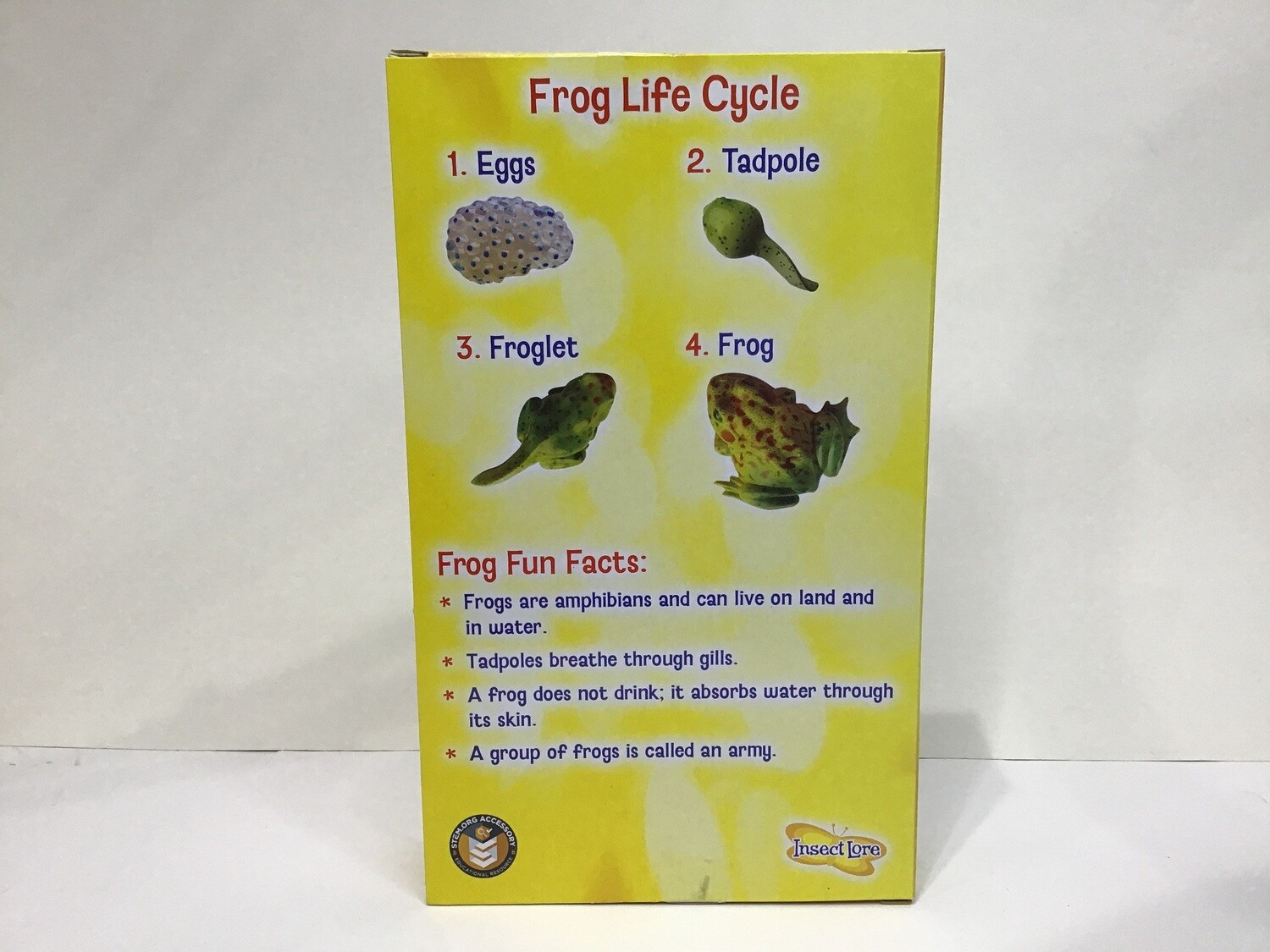 Frog Life Cycle 4pc
