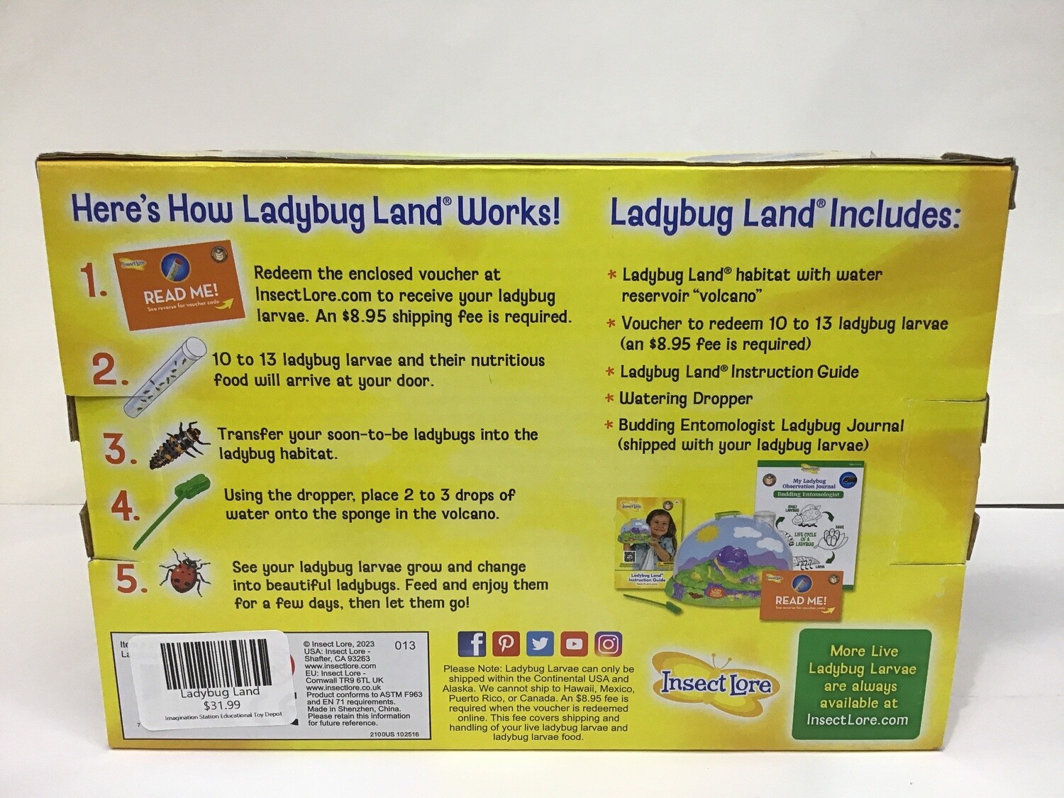 Ladybug Land