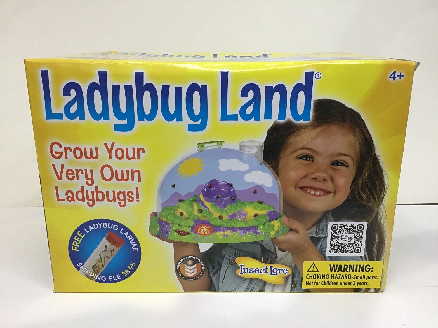 Ladybug Land