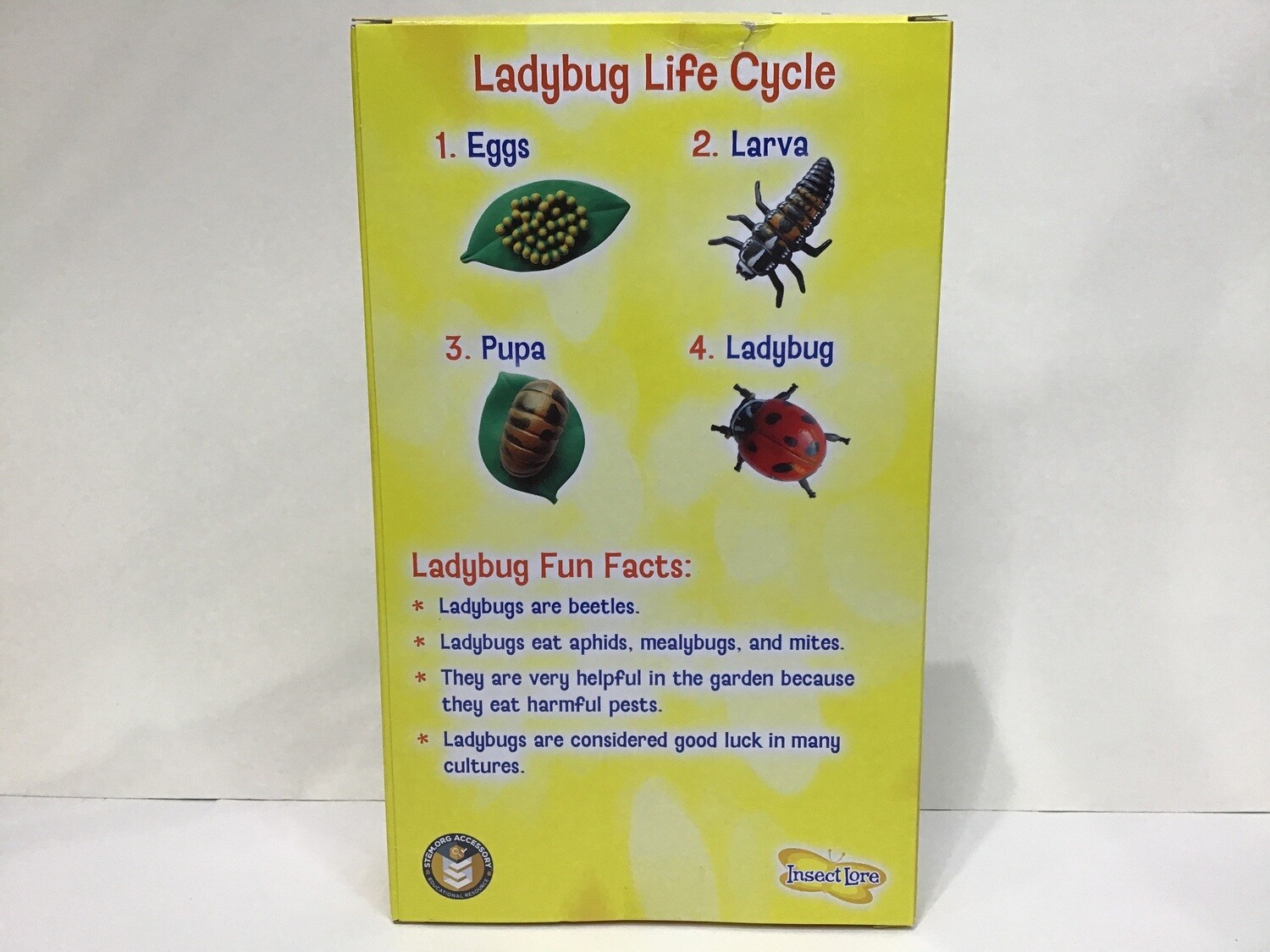 Ladybug Life Cycle 4pc