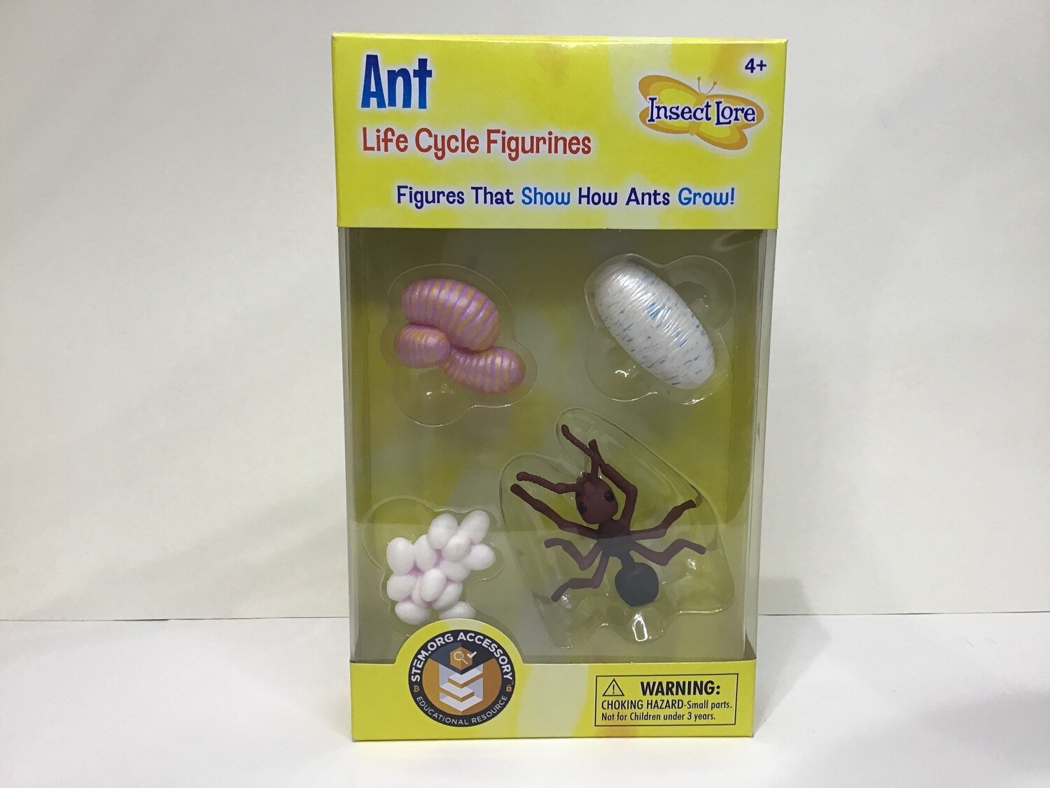 Ant Life Cycle 4pc