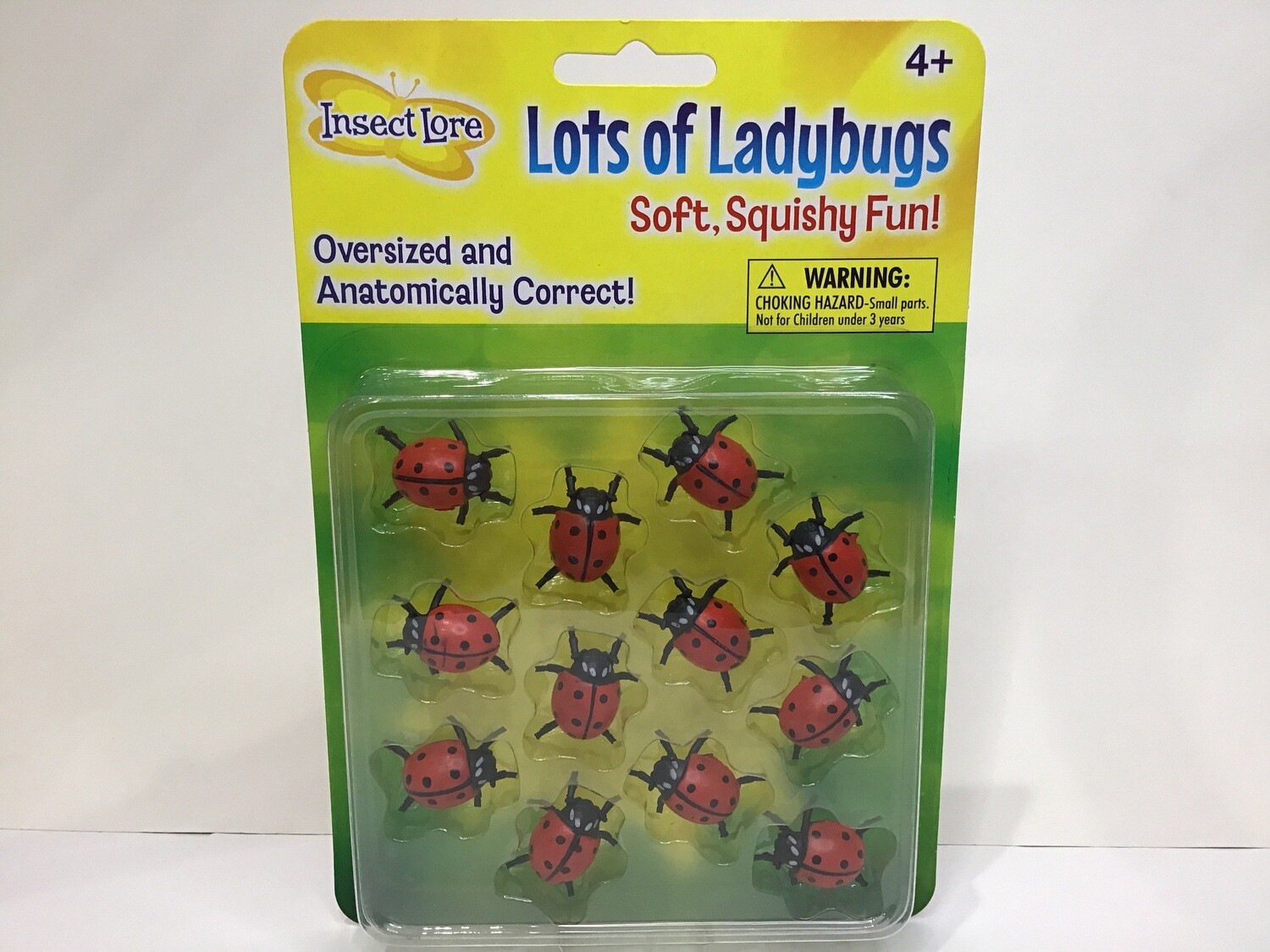 Lots of Ladybugs