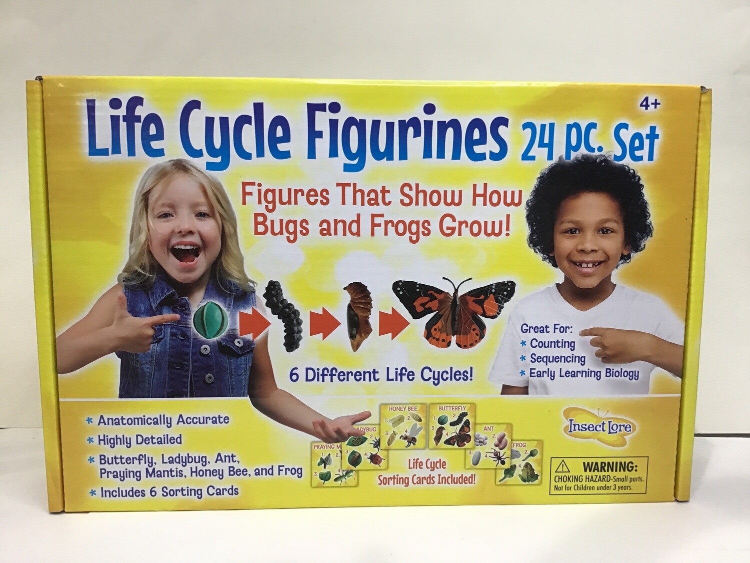 Life Cycle Fig 24pc