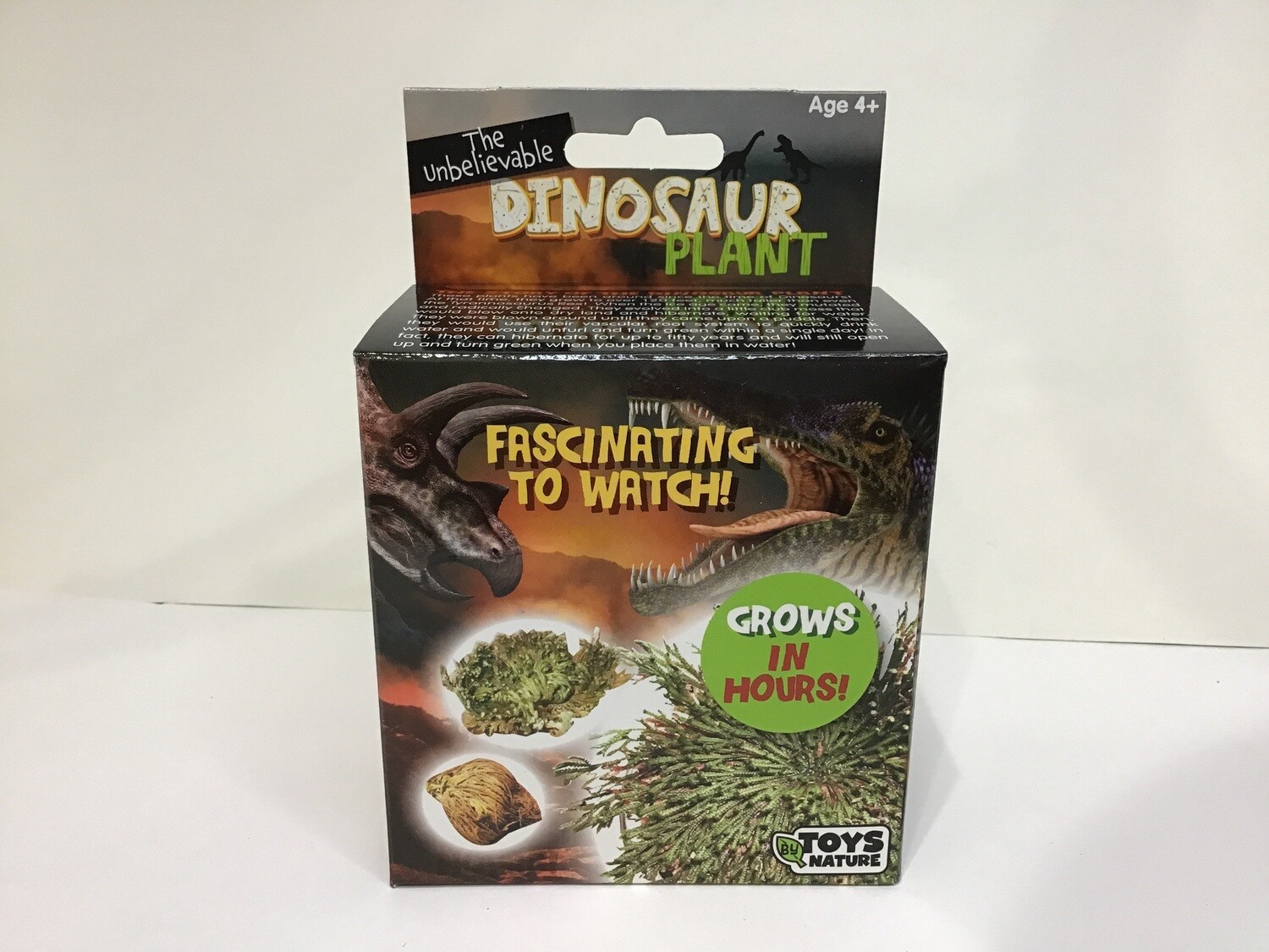 Dino Plant Boxed