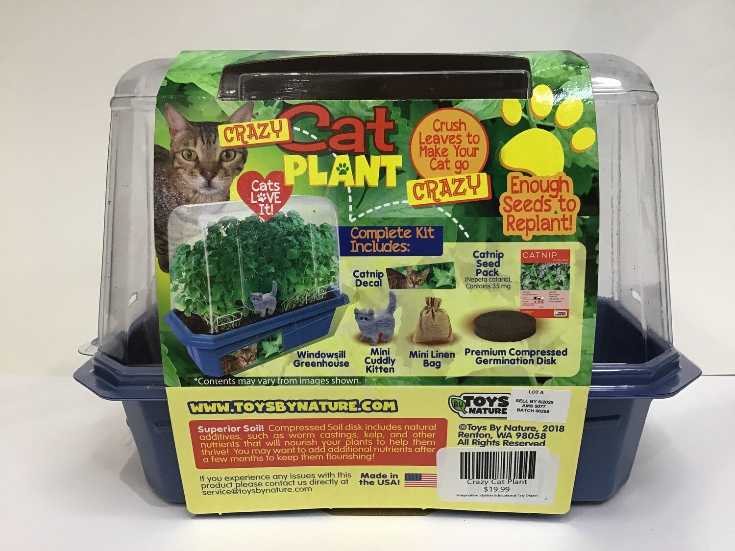 Crazy Cat Plant