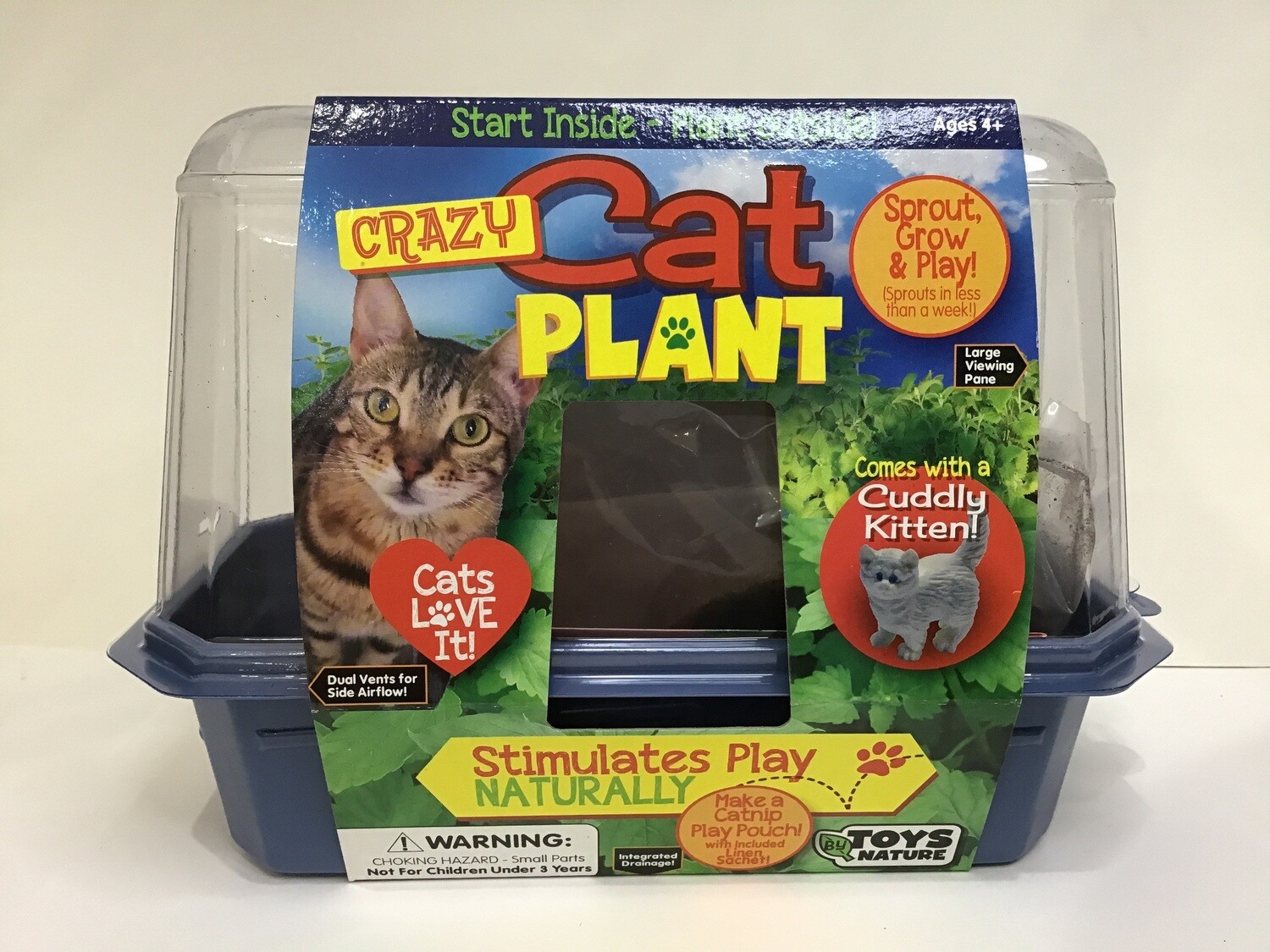 Crazy Cat Plant