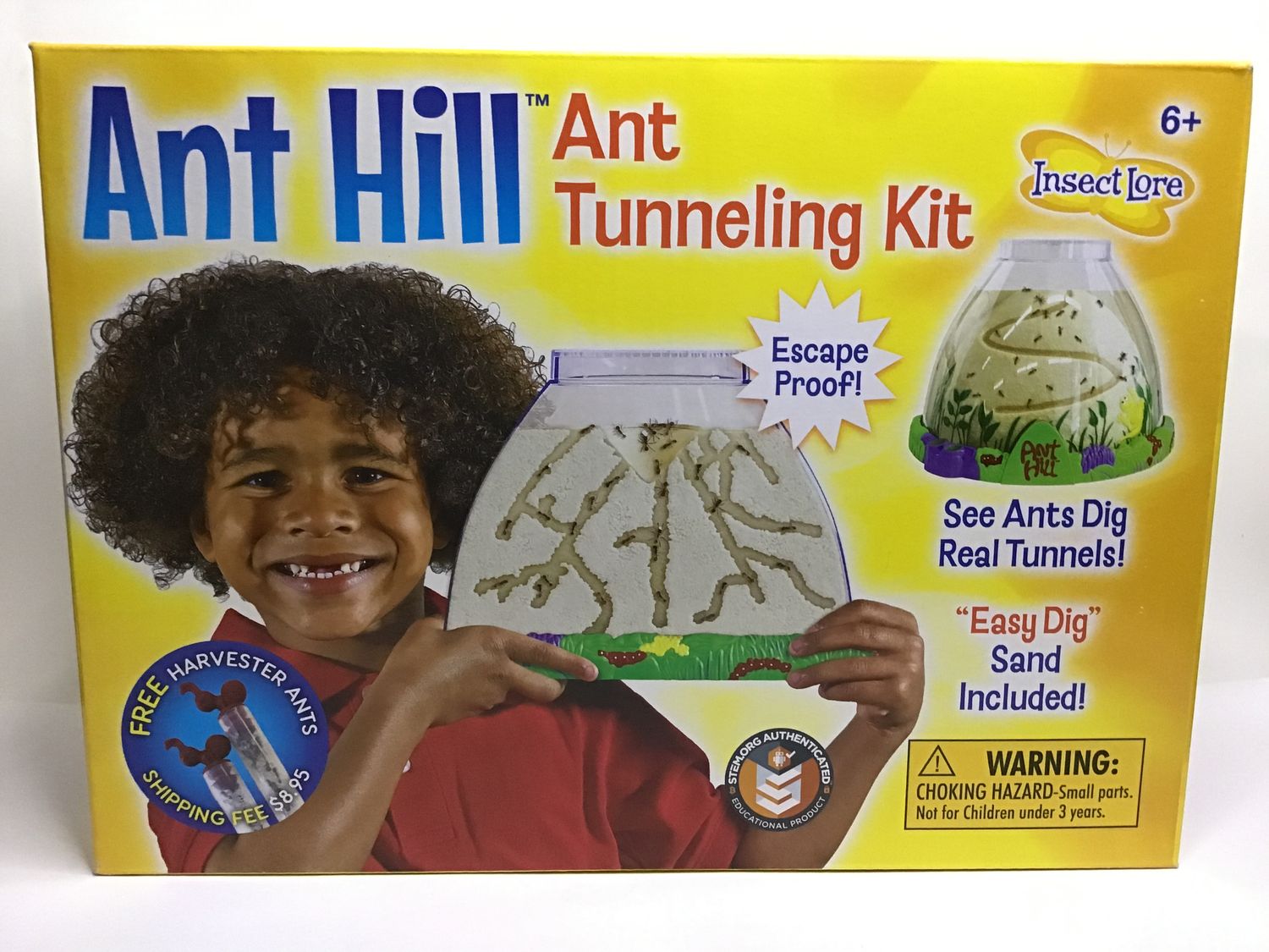 Ant Hill