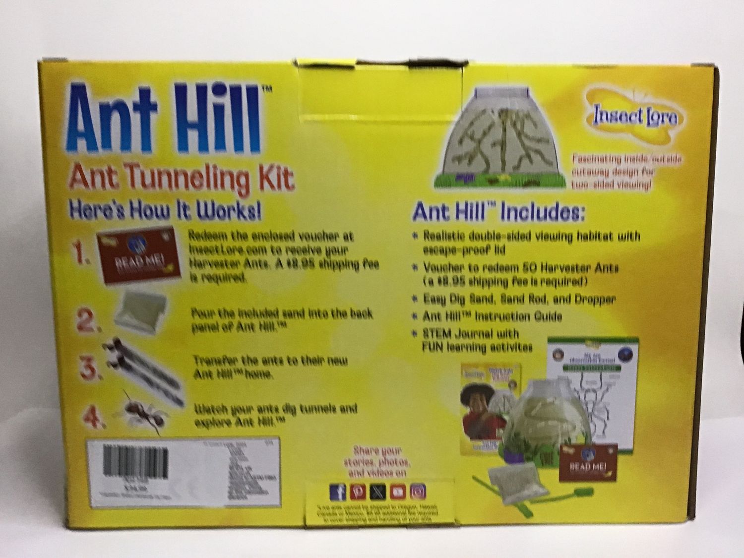 Ant Hill
