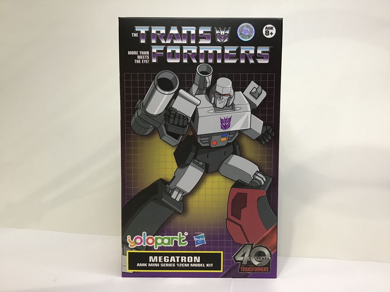 Transformers-Megatron