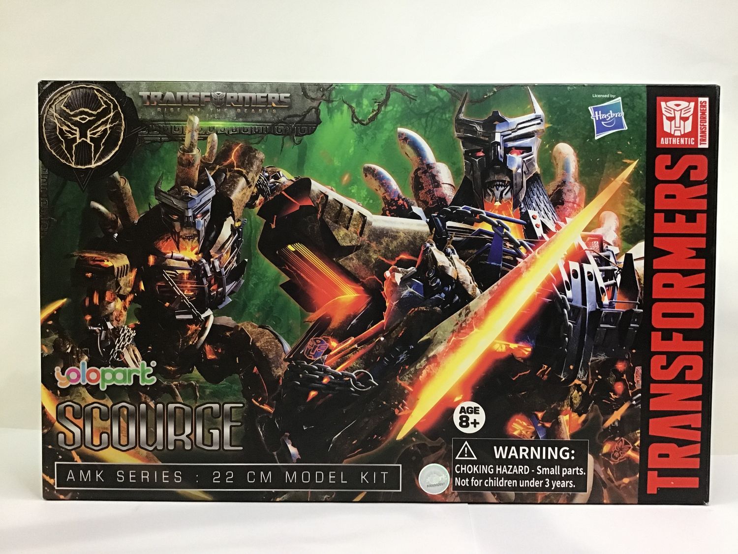 Transformers-ROTB Series