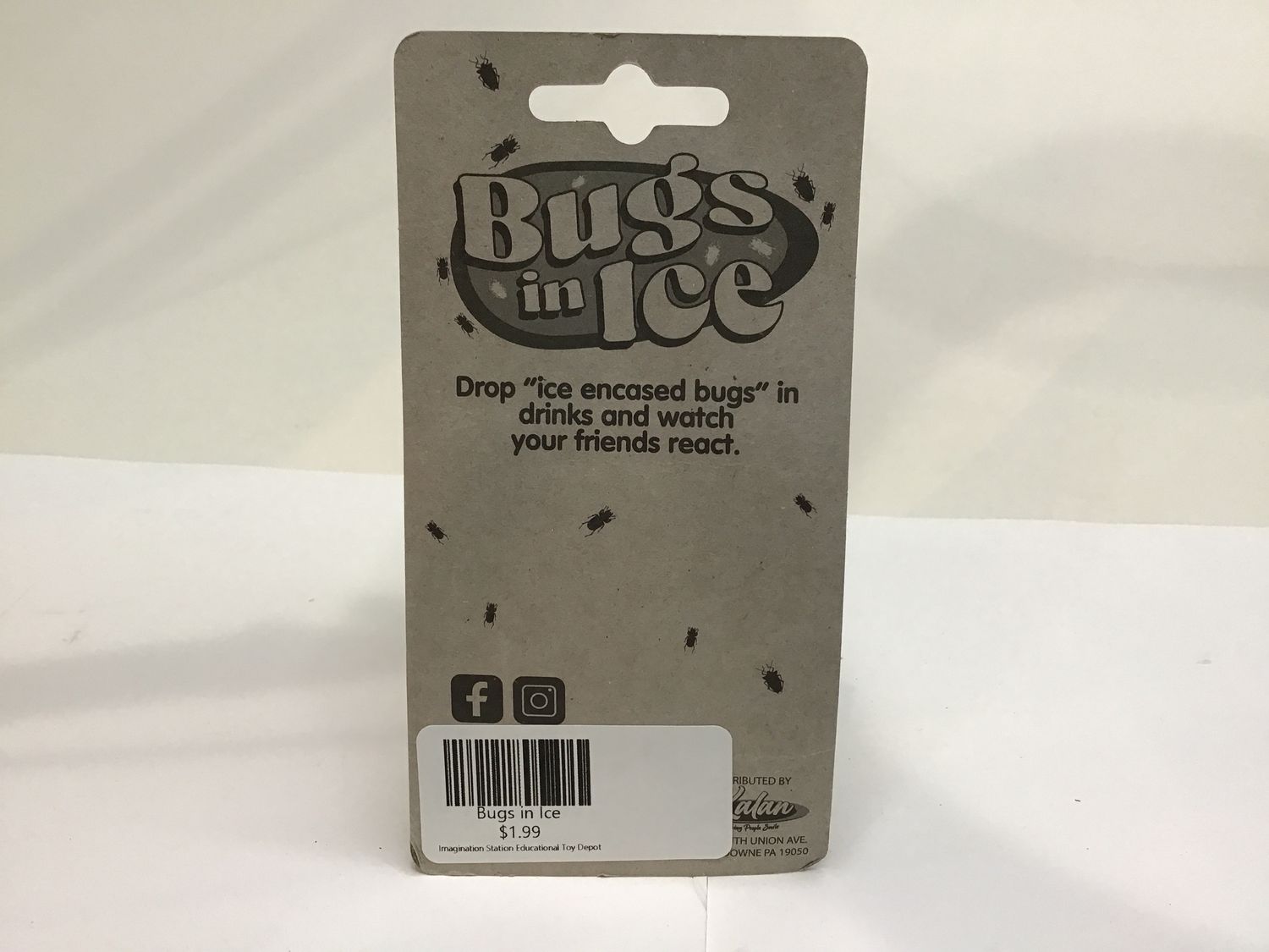 Bugs in Ice