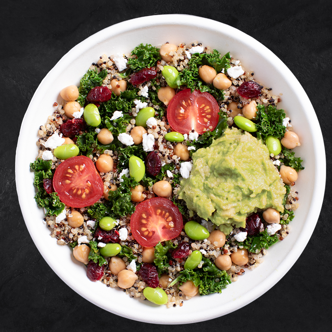 Babylon Bulk Pack (8)