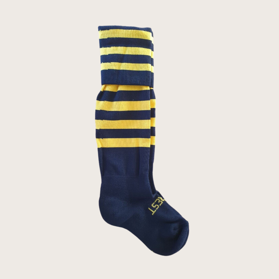 Tigers Playing Socks