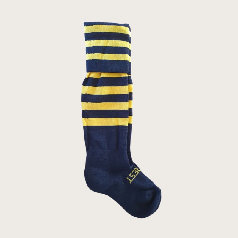 Tigers Playing Socks Tigers Playing Socks
