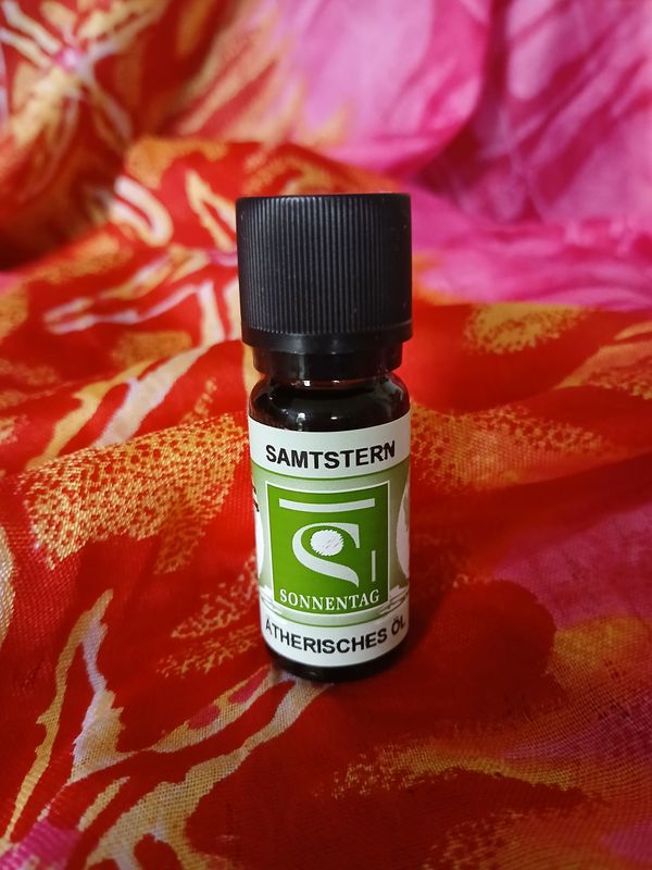 Samtstern