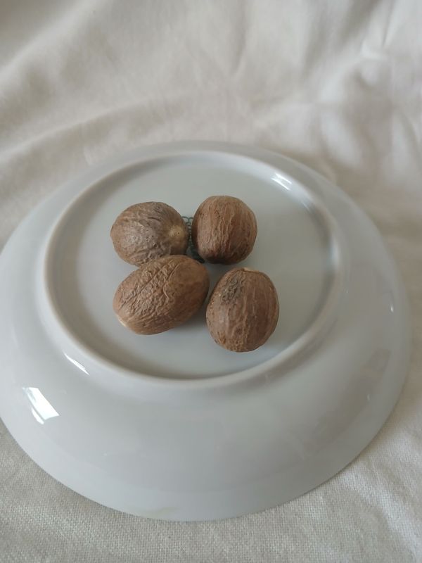 Muskatnüsse ganz 4 Stück (ca. 64 gr) Muskatnüsse ganz 4 Stück (ca. 64 gr)