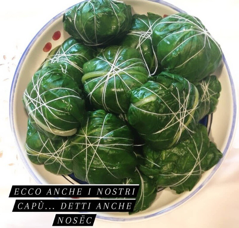 Nosec/ Capù