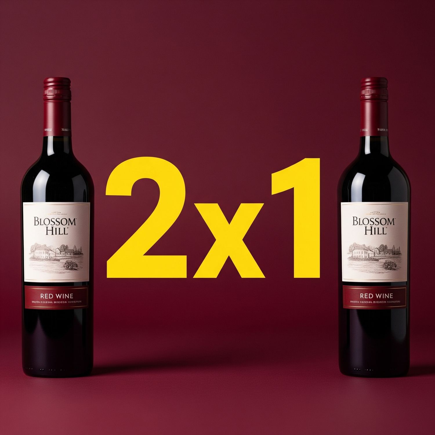 2x1 BLOSSOM HILL soft & fruity tinto 75 cl