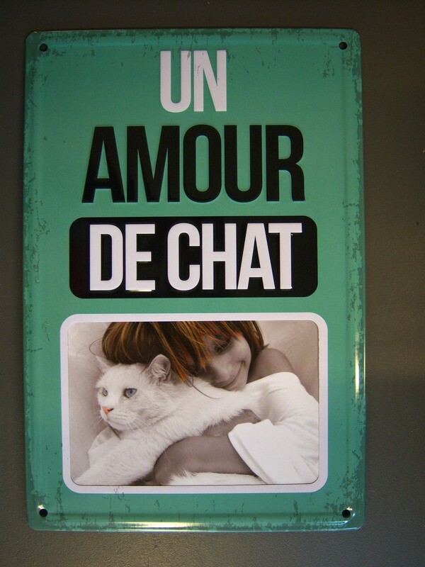 un amour de chat