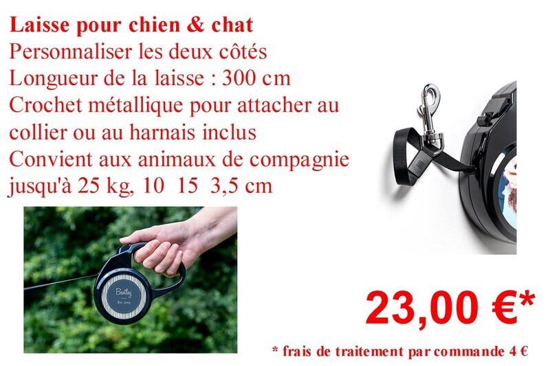 Laisse pour chien