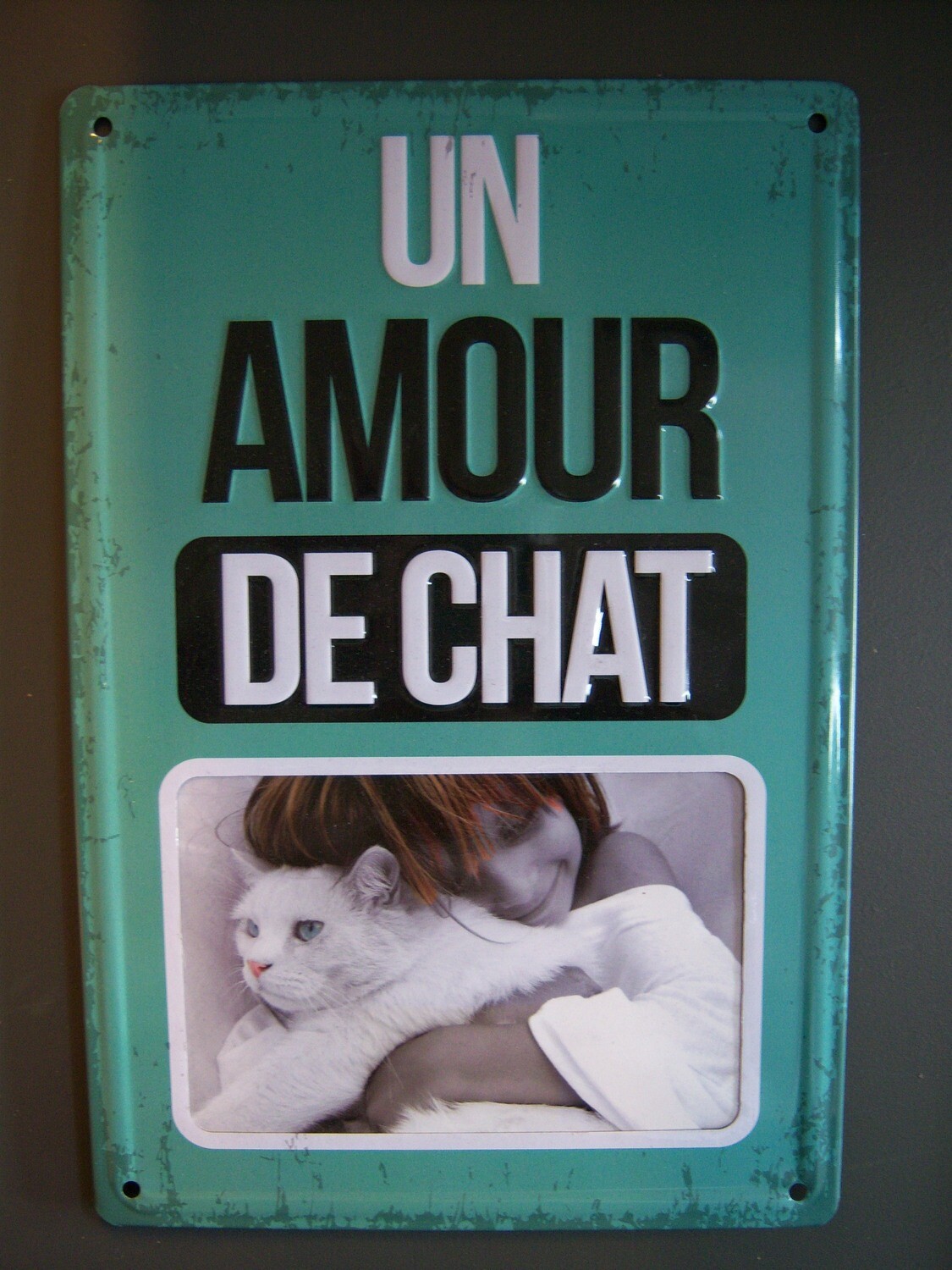 un amour de chat