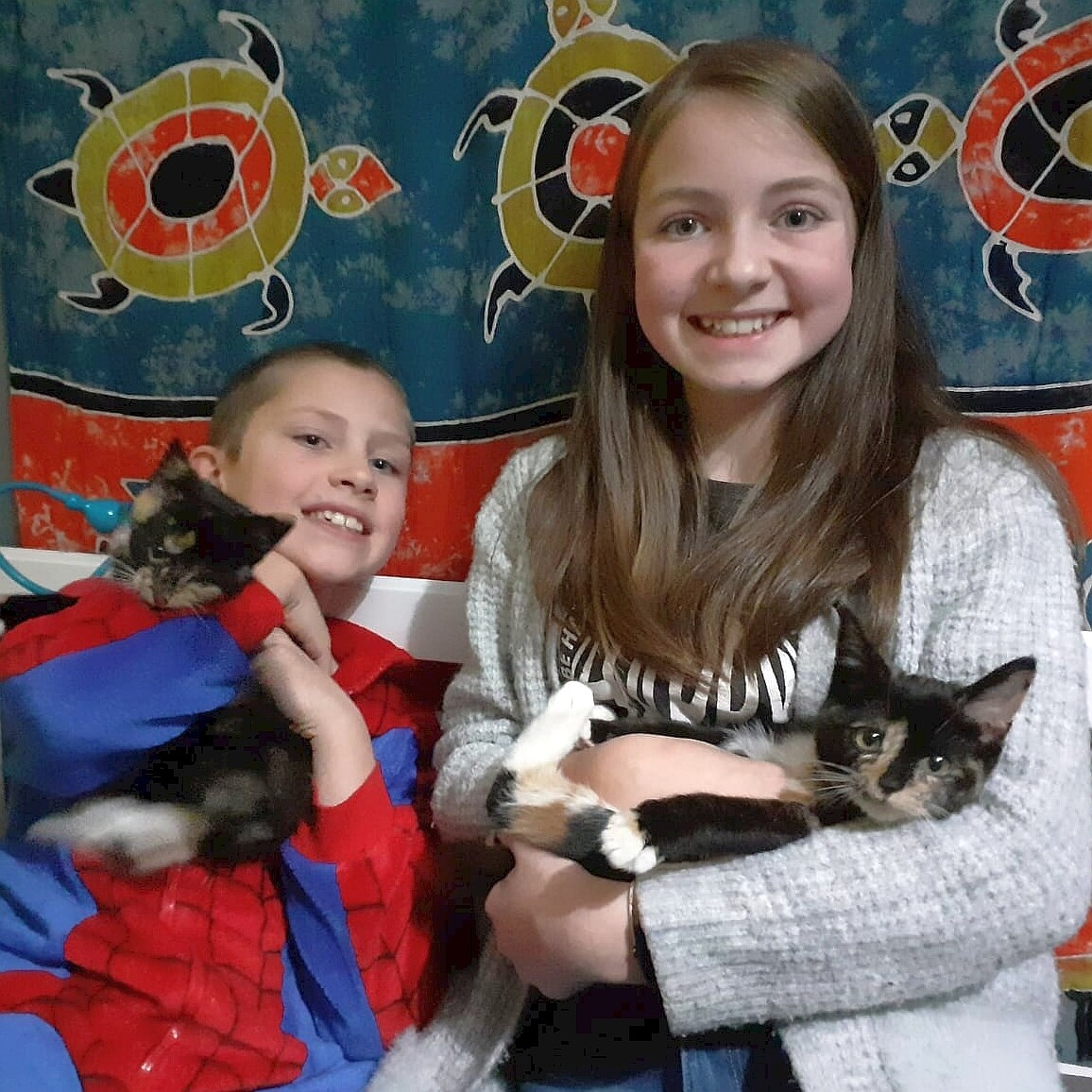 Sponsor a foster place for a year Sponsor a foster place for a year