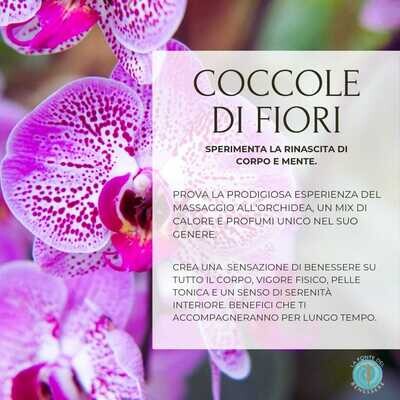 Coccole Di Fiori
