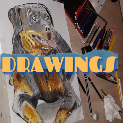 DRAWINGS