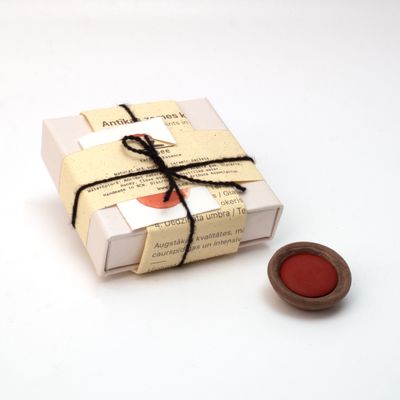 Zemes pigmenta krāsa keramikas trauciņā - Oranžs okeris.