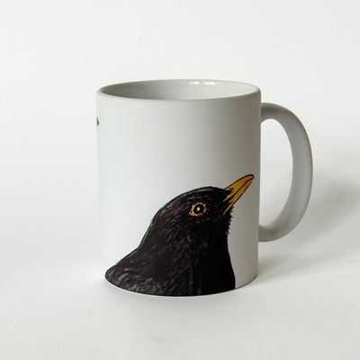 Krūze. Meža strazds