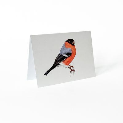 Veramā kartīte. Svilpis. Pavāru māja.